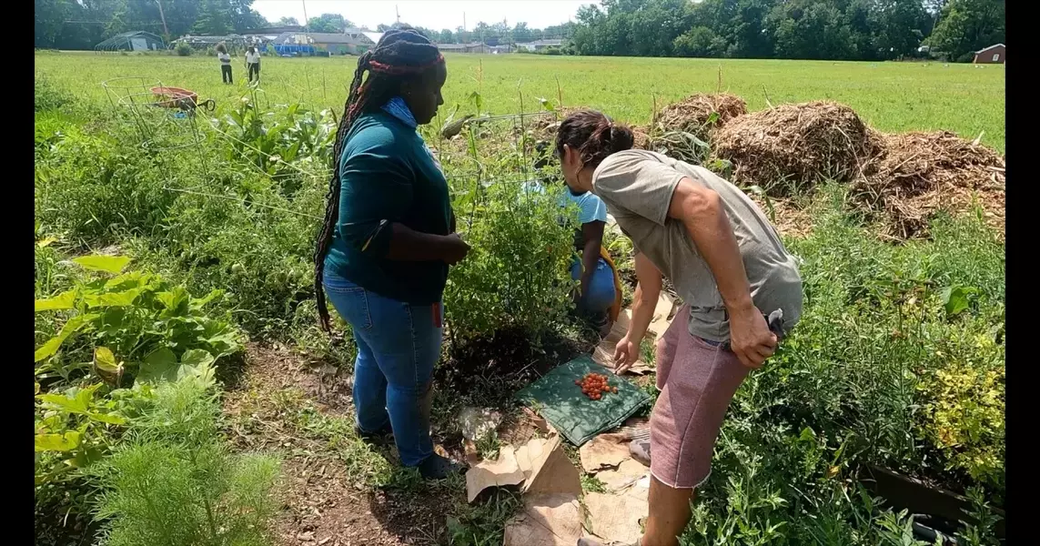 Community Food Access Coalition forms to advise city on how to address food insecurity