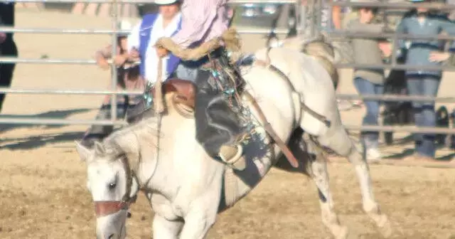 Jefferson County Fair enters final day