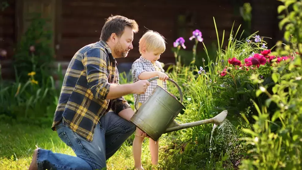 Healthy Kids: Backyard Safety