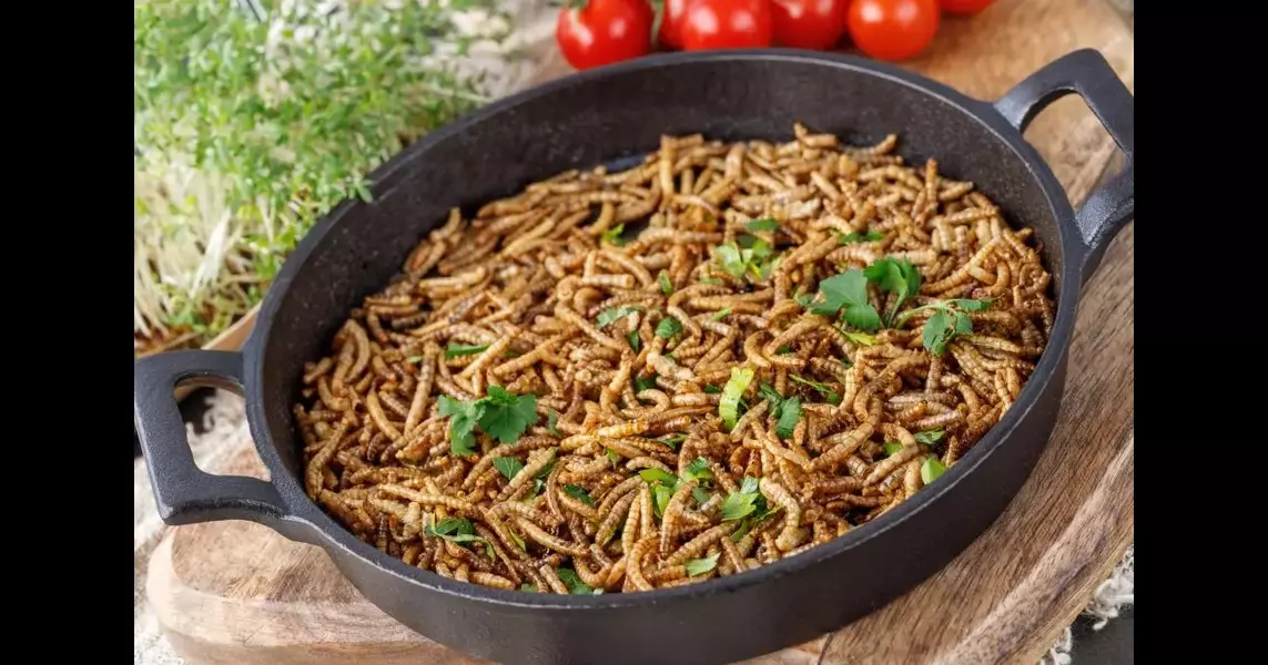 This country just approved 16 insects as food