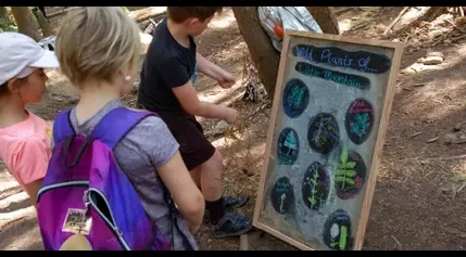 Mount Vernon kids learn wilderness survival skills