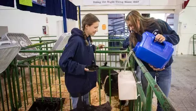 What you need to know about the 2024 Lane County Fair