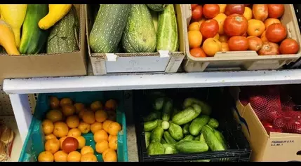 Ellensburg food bank partners with national nonprofit to end fresh food waste