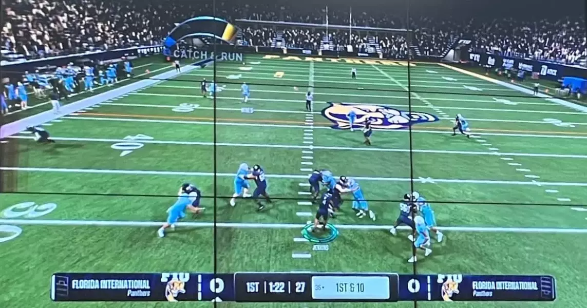 Grab your joystick: Panthers feature in new sports video game