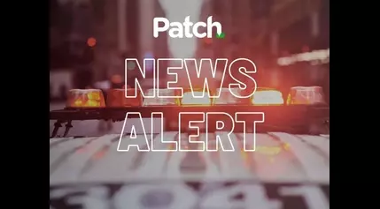 Kittens Killed After Being Thrown From Moving Car, Suspect Sought: PD: CT News