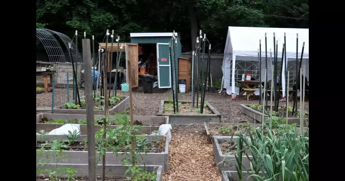 Urban Farms are a Lifeline for Food-Insecure Residents. Will New Jersey Finally Make Them Permanent?