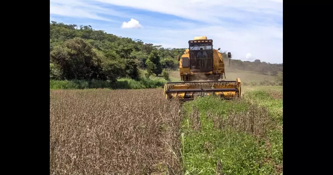 Halting Deforestation through Finance: Regulatory Mapping of the Central Bank of Brazil