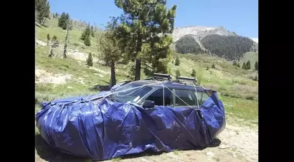 National Park Recommends Wrapping Your Car In Tarps When In “Marmot Country”