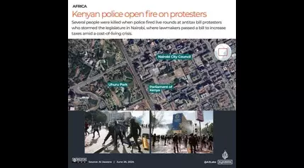 Activists call for new protests in Kenya following deadly police crackdown