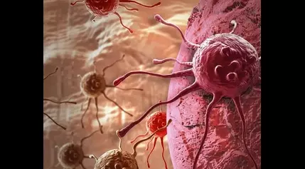 New hope for solid tumors with enhanced CAR-T cells