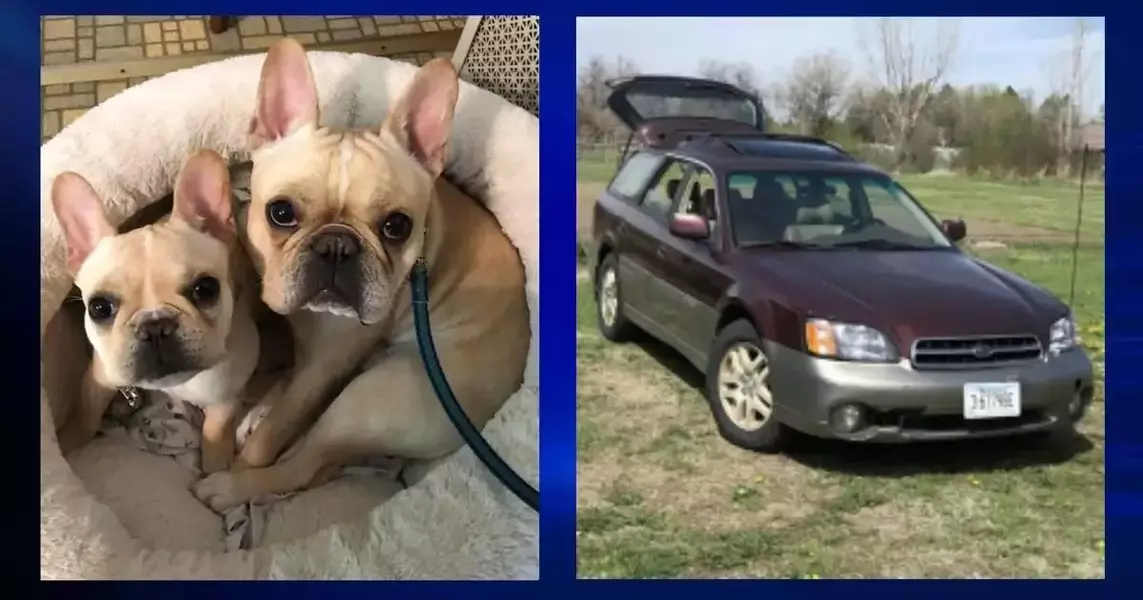 Car & two dogs stolen from Billings mobile Vet-To-Go, community asked for help in search