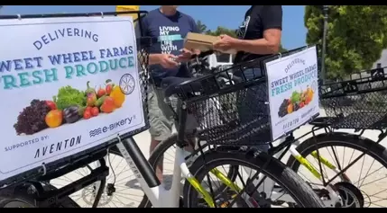 Summerland farm stand receives four electric bikes for zero-emission food delivery in community