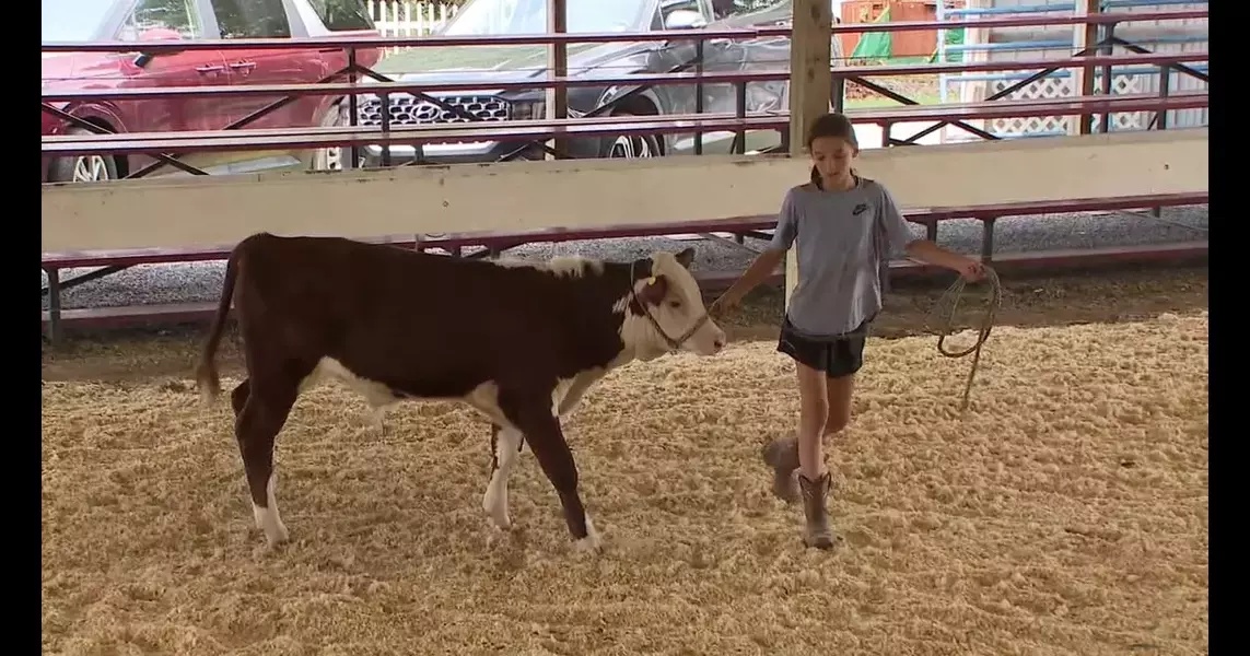 4-H kids show off hard work at Montour-Delong Community Fair