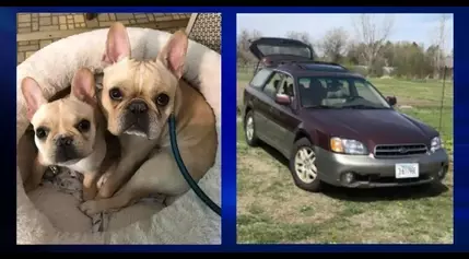 Car & two dogs stolen from Billings mobile Vet-To-Go, community asked for help in search