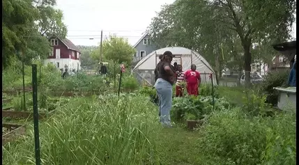 ‘We Got This Garden’ in Milwaukee; teaching kids patience, persistence