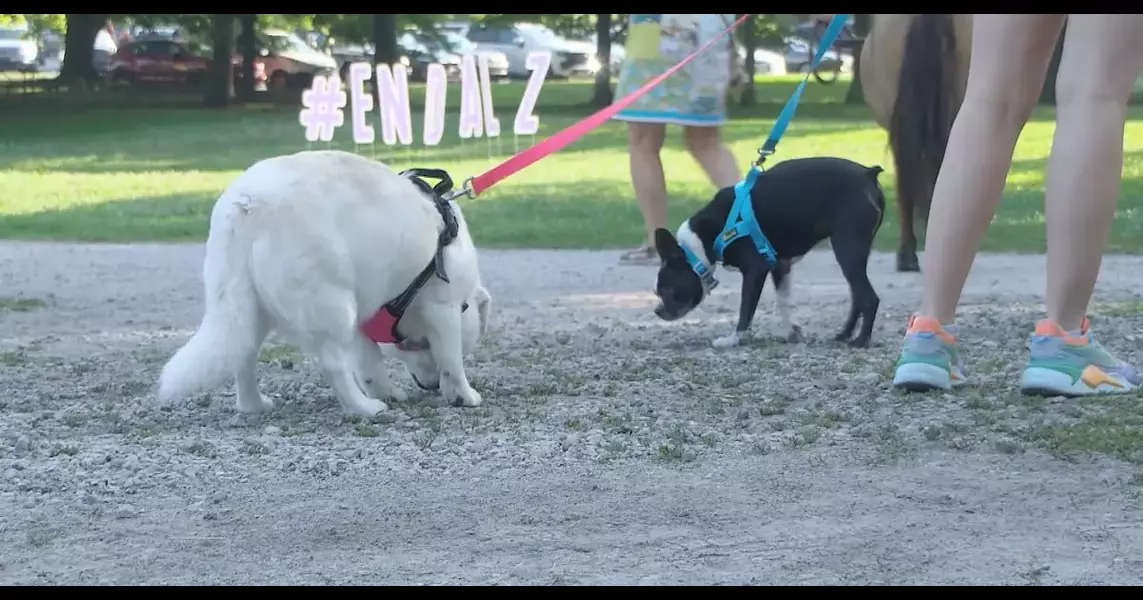 Pets Against Alzheimer’s Walk raises money and awareness