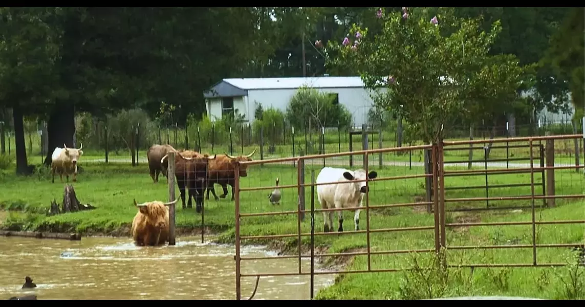 Kids learn about farming at Ol’ Mel’s Farm Day Camp