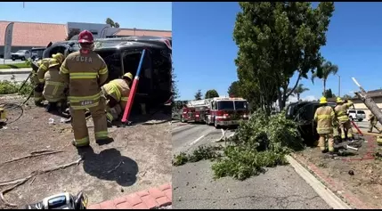 Santa Ana firefighters rescued a trapped woman after her car crashed into a tree