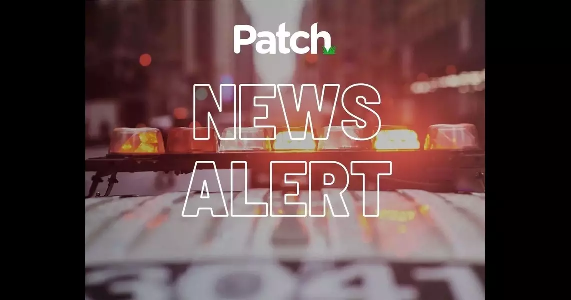 Kittens Killed After Being Thrown From Moving Car, Suspect Sought: PD: CT News