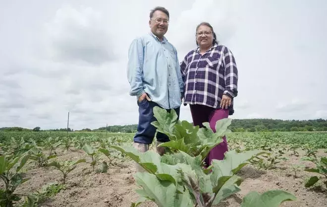 ‘It’s a lot of work but it is very rewarding’ two farmers supply fresh produce to food pantries through an assistance program