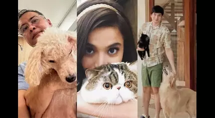 Pet Remembrance Day: Celebrities’ fur babies