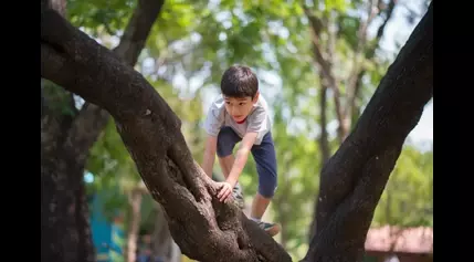 Why your kids should take risks while playing outdoors this summer