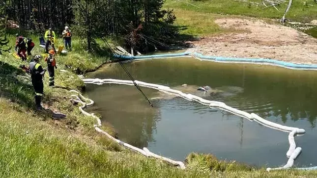 Car Crashes Into 105-Degree Yellowstone Geyser