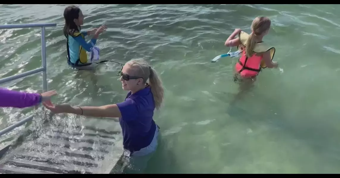 Dozens of kids snorkel through the Sarasota Bay with Mote