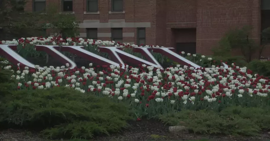 UW-La Crosse introduces new major in food and nutrition science