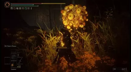 How To Avoid Being Seen in Abyssal Woods in Elden Ring: Shadow of the Erdtree