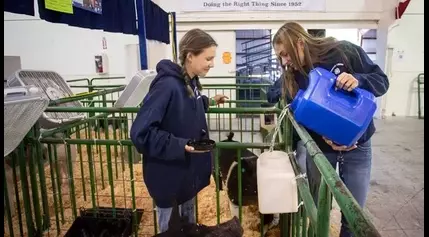 What you need to know about the 2024 Lane County Fair