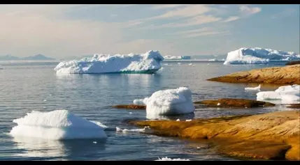 How to talk to your kids about climate anxiety, according to an environmental educator