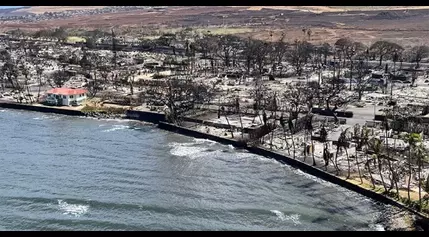 Hawaii wildfire victims seeking to block insurers from settlement money