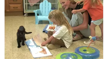 Local Animal Shelter’s Reading Program Benefits Kids and Kittens