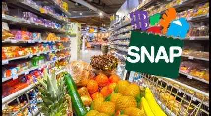 SNAP Food Stamps Money Will Be Added to EBT Cards Shortly soon for all Americans