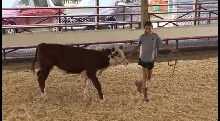 4-H kids show off hard work at Montour-Delong Community Fair