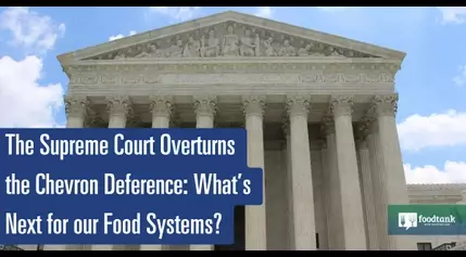 The Supreme Court Overturns the Chevron Deference: What’s Next for Our Food Systems?