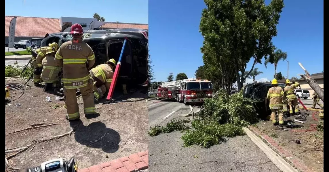 Santa Ana firefighters rescued a trapped woman after her car crashed into a tree