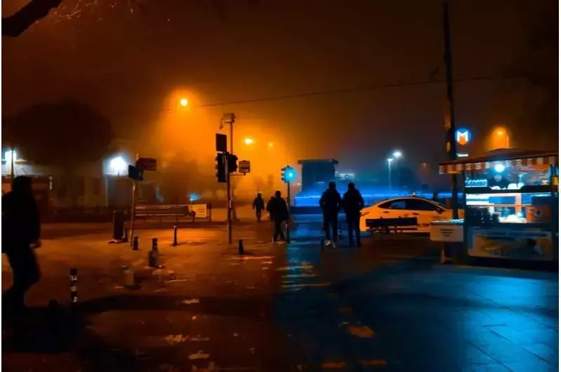 Streetlights running all night makes leaves so tough that insects can’t eat them, threatening the food chain