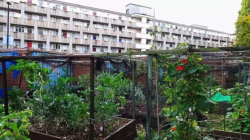 Government organizations should help create healthier, greener food systems, say researchers