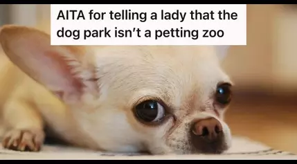 Dog Owner Keeps Warning Kids To Stay Away From Her Fearful Dog, But When Their Mom Ignores Her Too She Tells Her To Stop Treating The Dog Park Like A Petting Zoo