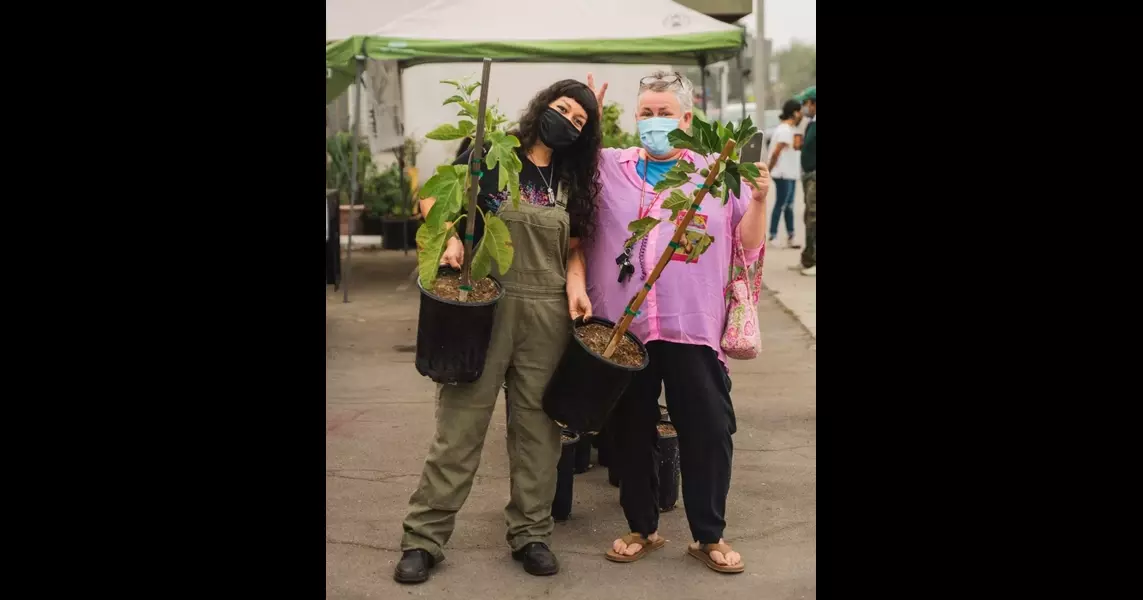 Free fruit trees in food deserts help residents and their neighbors access fresh produce