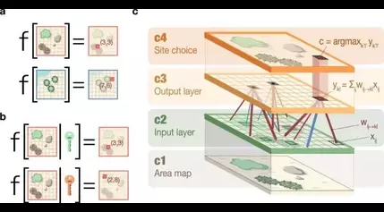 A new mechanism for animal food caching behavior discovered