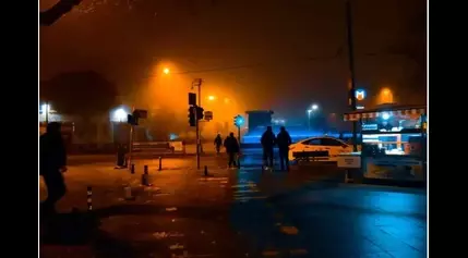 Streetlights running all night makes leaves so tough that insects can’t eat them, threatening the food chain