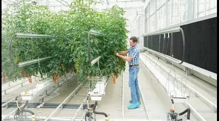 Growing food in space? Ohio State hosts NASA contest awarding ideas to better feed astronauts