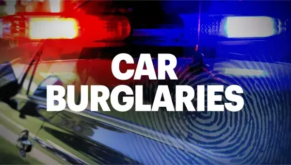 Police probe several car burglaries in Ringwood