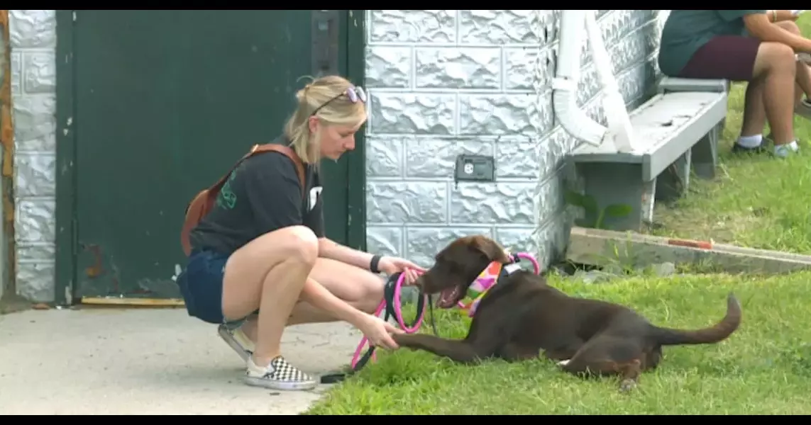 Woofstock raises money for Furry Friends Rockin’ Rescue