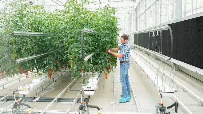 Growing food in space? Ohio State hosts NASA contest awarding ideas to better feed astronauts