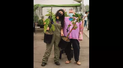 Free fruit trees in food deserts help residents and their neighbors access fresh produce