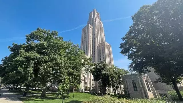 Pitt officials ask health department to investigate food poisoning claims